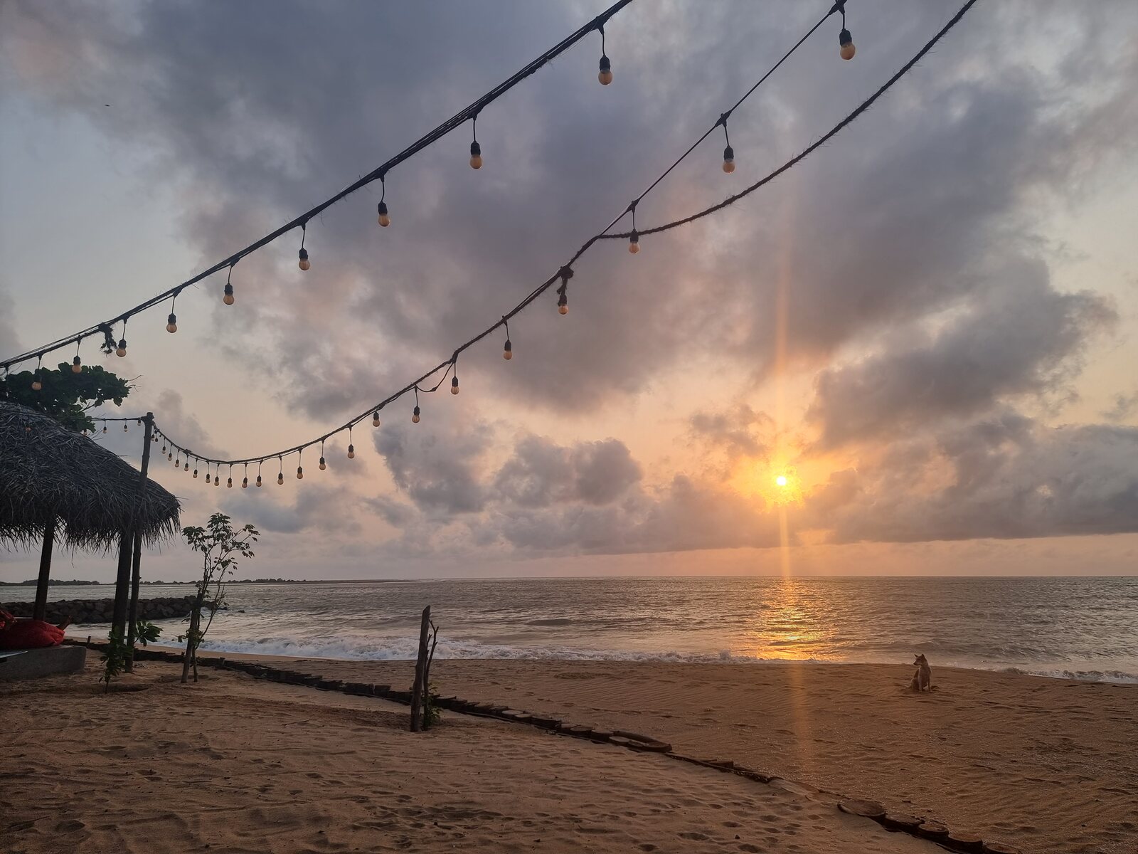 Beach sunset under string lights, Sri Lanka