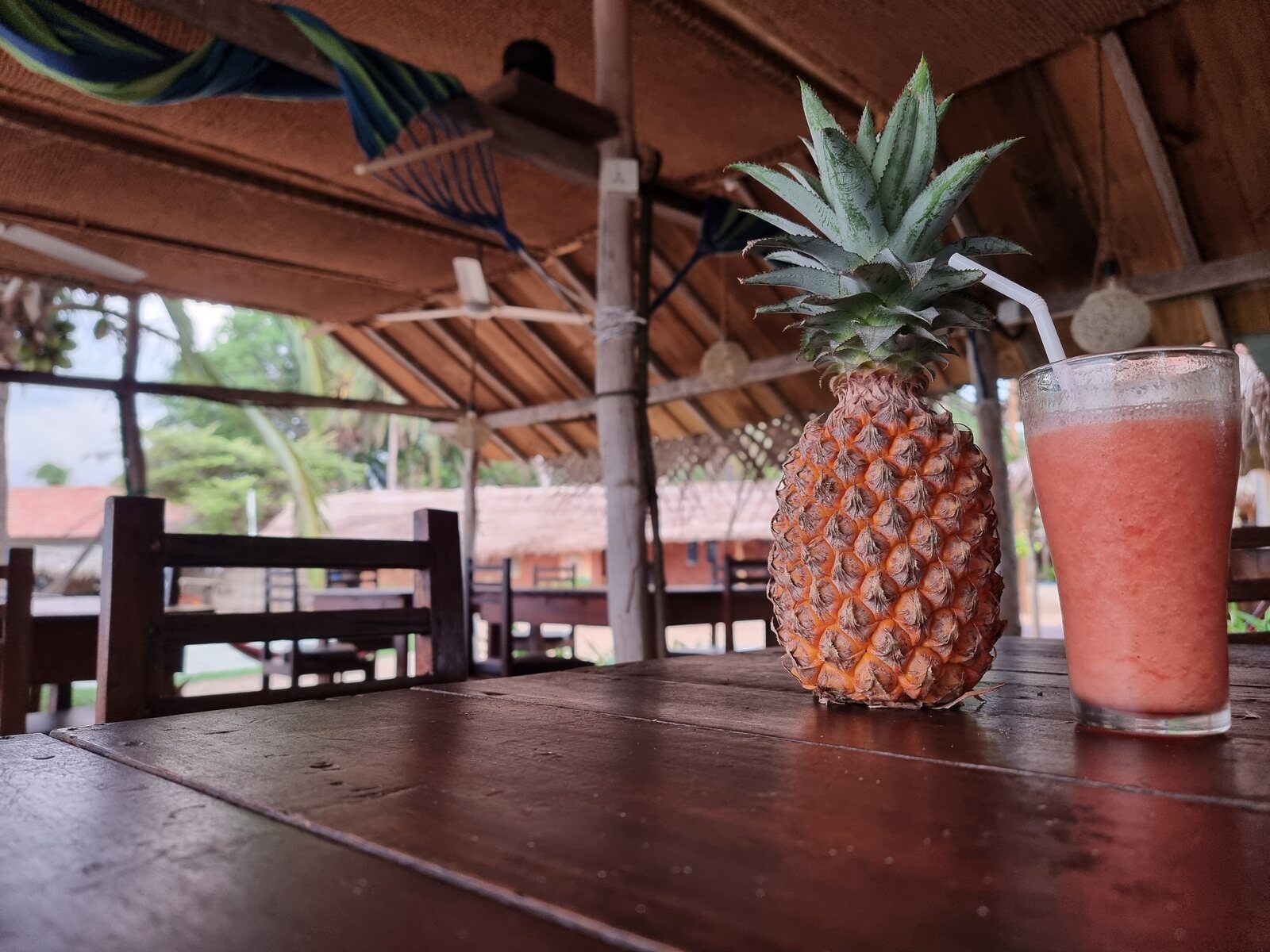 A slow morning, fresh pineapple and juice at the surf point