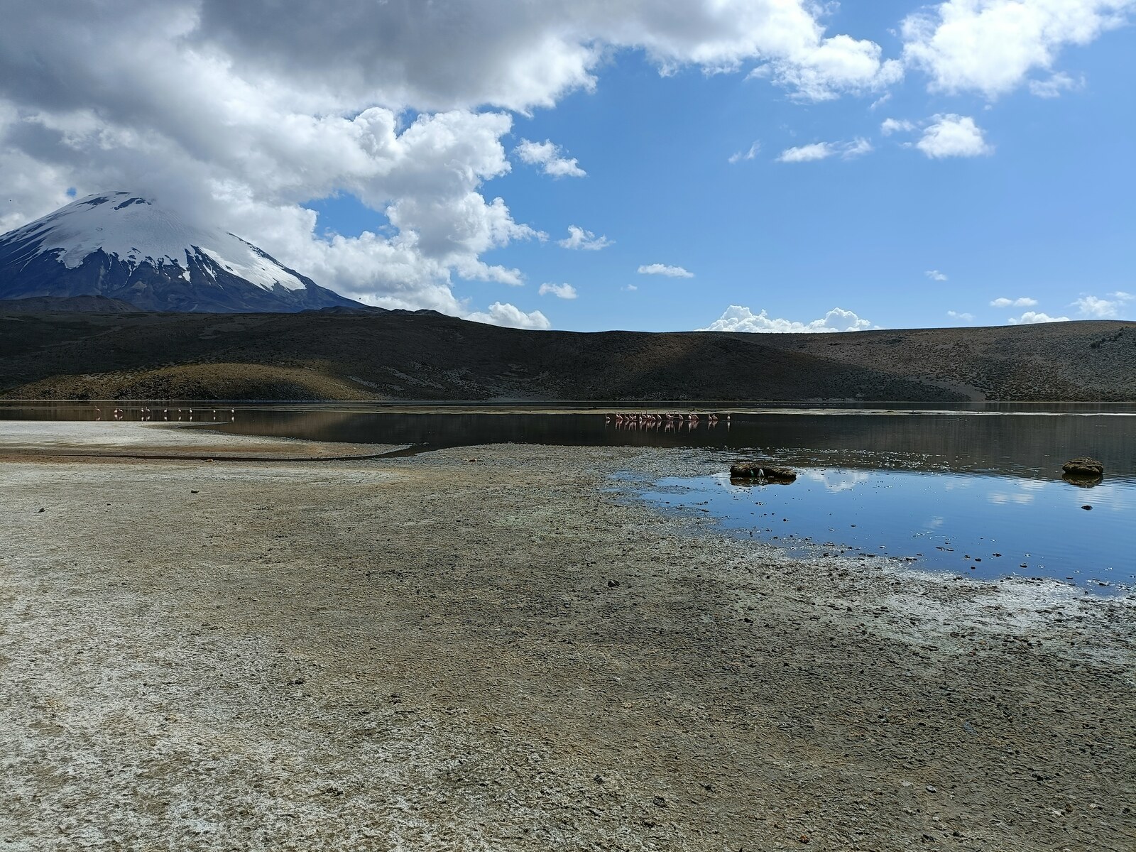 Acclimatisation landscape near Putre