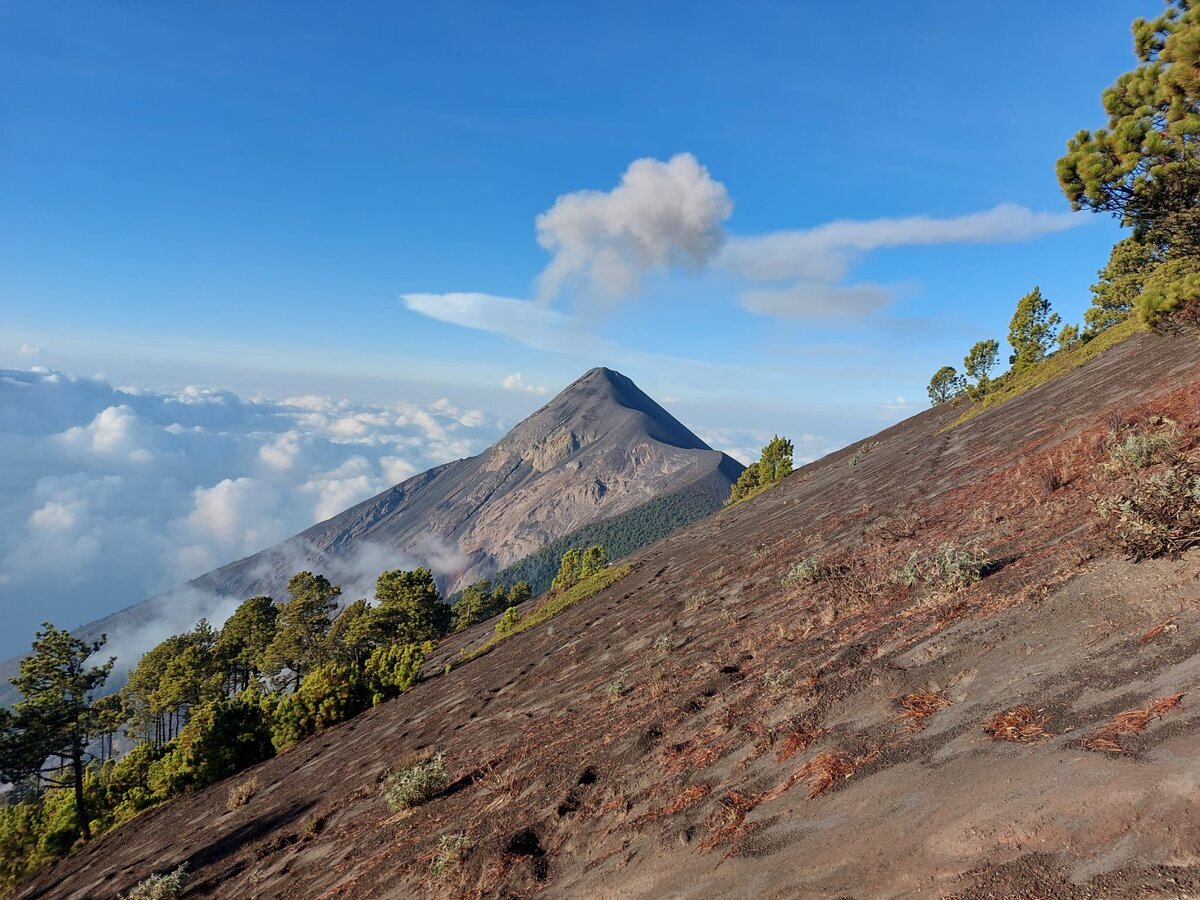 Volcán de Fuego by day, from the Acatenango slope